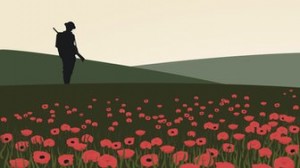 _72481307_poppy-field